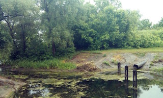 Экологические услуги от ПромМир-Грч в Горячем Ключе - стоимость от 12400 руб.