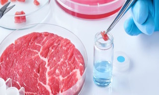 Лабораторный анализ пищевых продуктов по СанПиН в Горячем Ключе в октябре