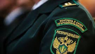 Подготовка к проверке Росприроднадзора в Горячем Ключе от ПромМир, стоимость услуги от 20666 руб.